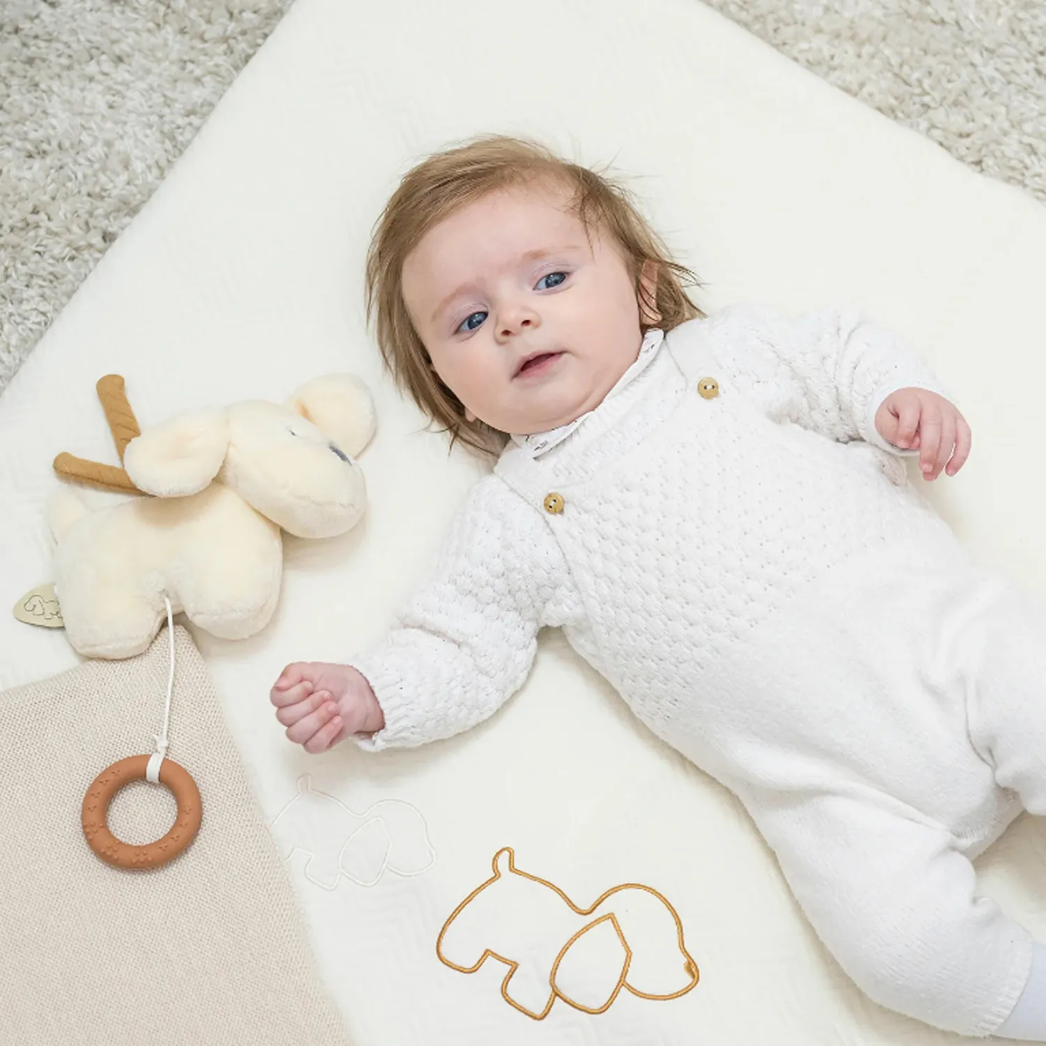 Игрушка мягкая Nattou Doudou CHARLIE Собачка caramel 388139