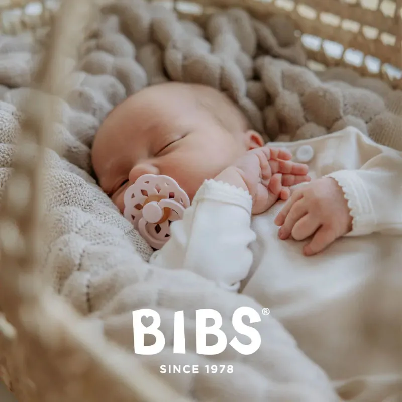 Пустышка латексная BIBS Boheme 0+ месяцев