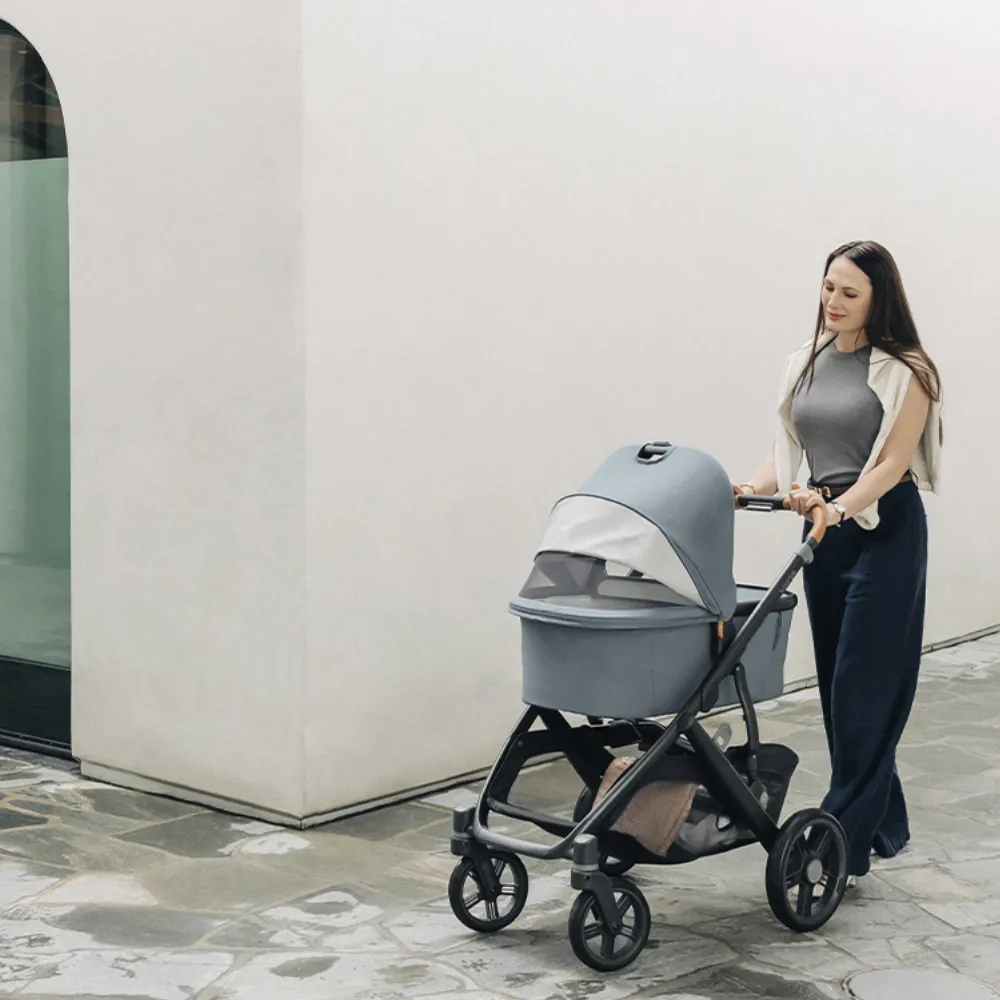Коляска 2 в 1 UPPAbaby Vista V3