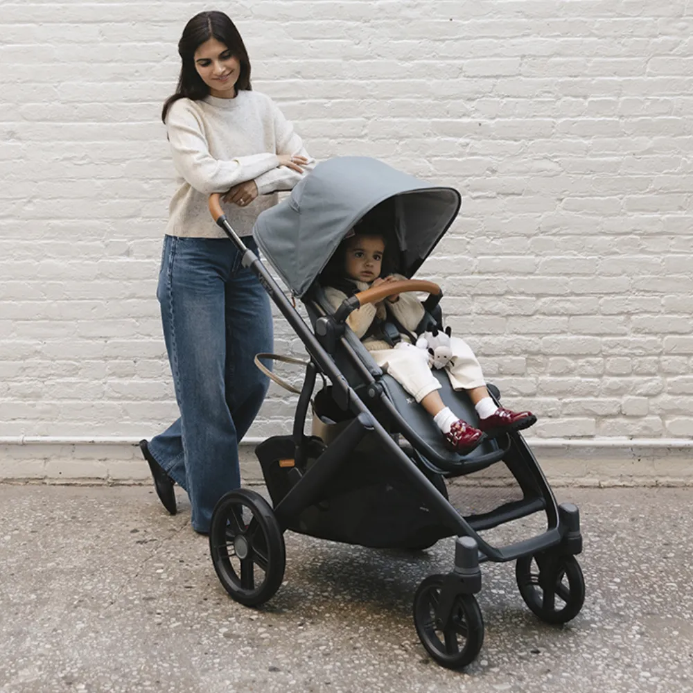 Коляска 2 в 1 UPPAbaby Vista V3
