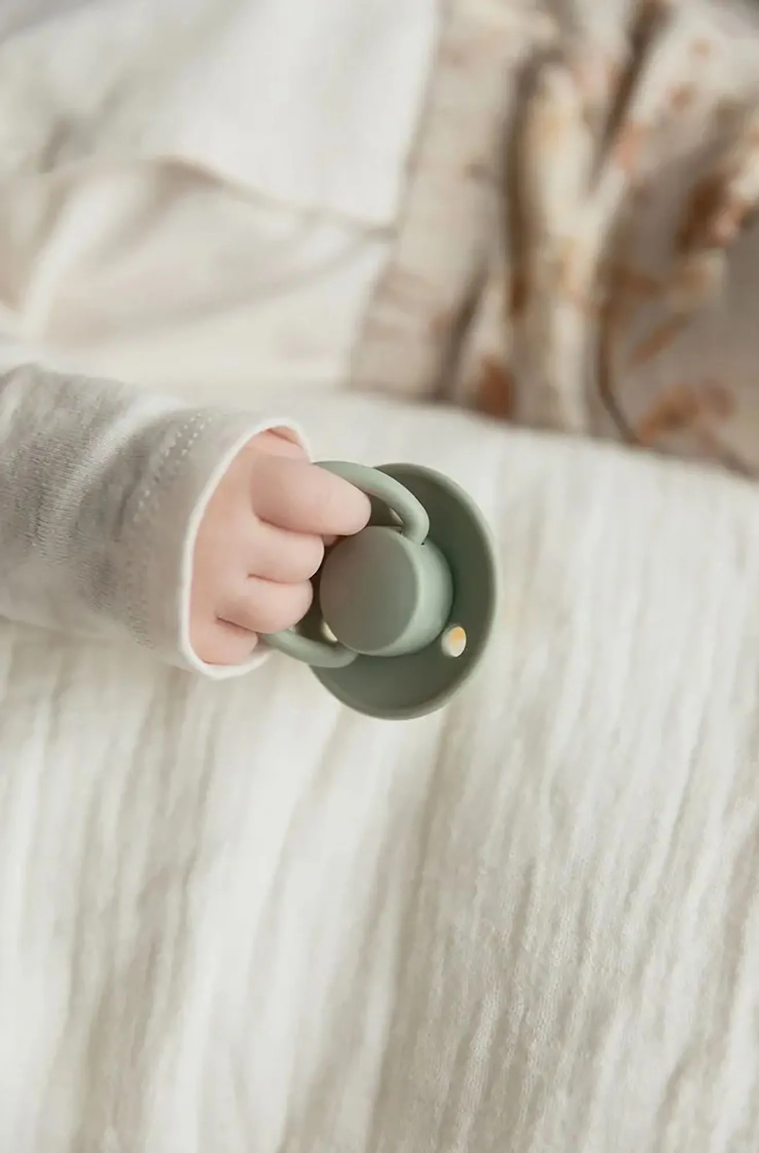 Пустышка силиконовая BIBS De Lux 0+ месяцев