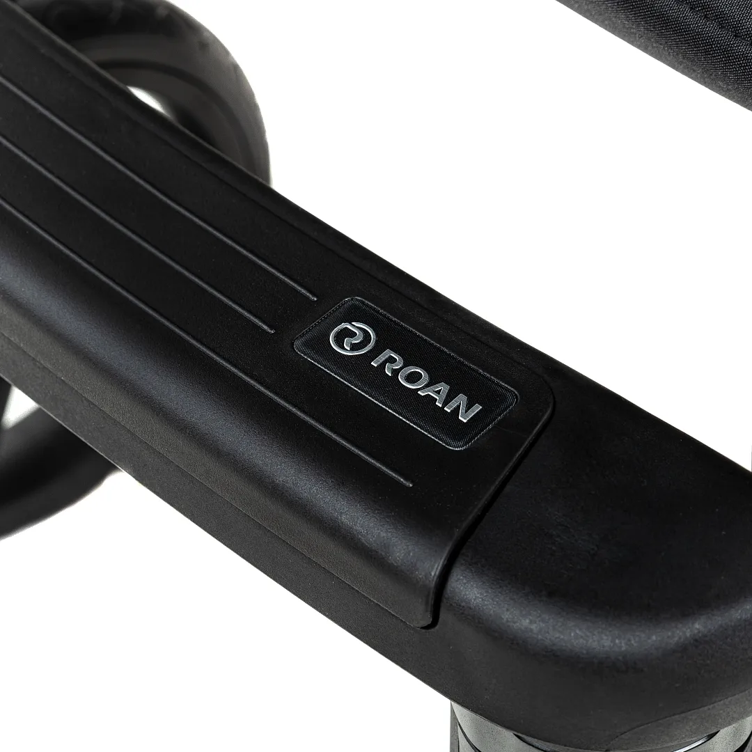 Коляска 2 в 1 Roan BASS Next 2.0