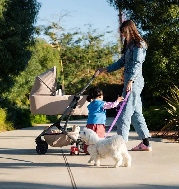 Люлька для коляски Joolz Aer 2