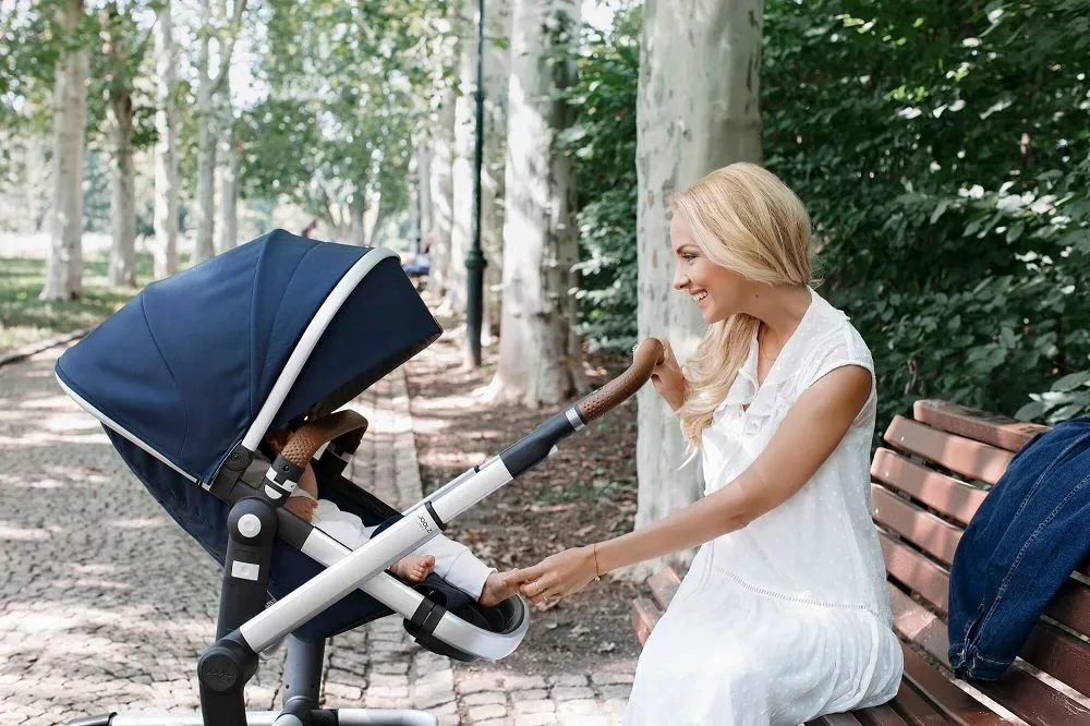 Коляска 2 в 1 Joolz Day 3 Earth
