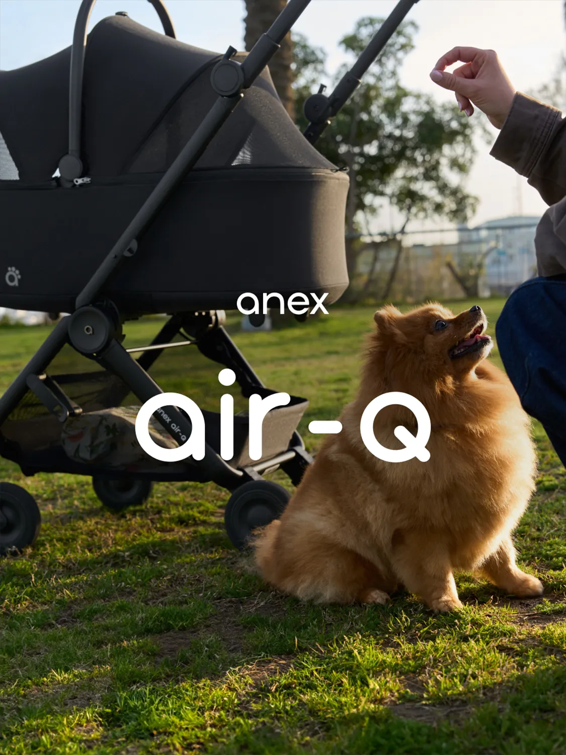 Коляска прогулочная Anex Air-Q