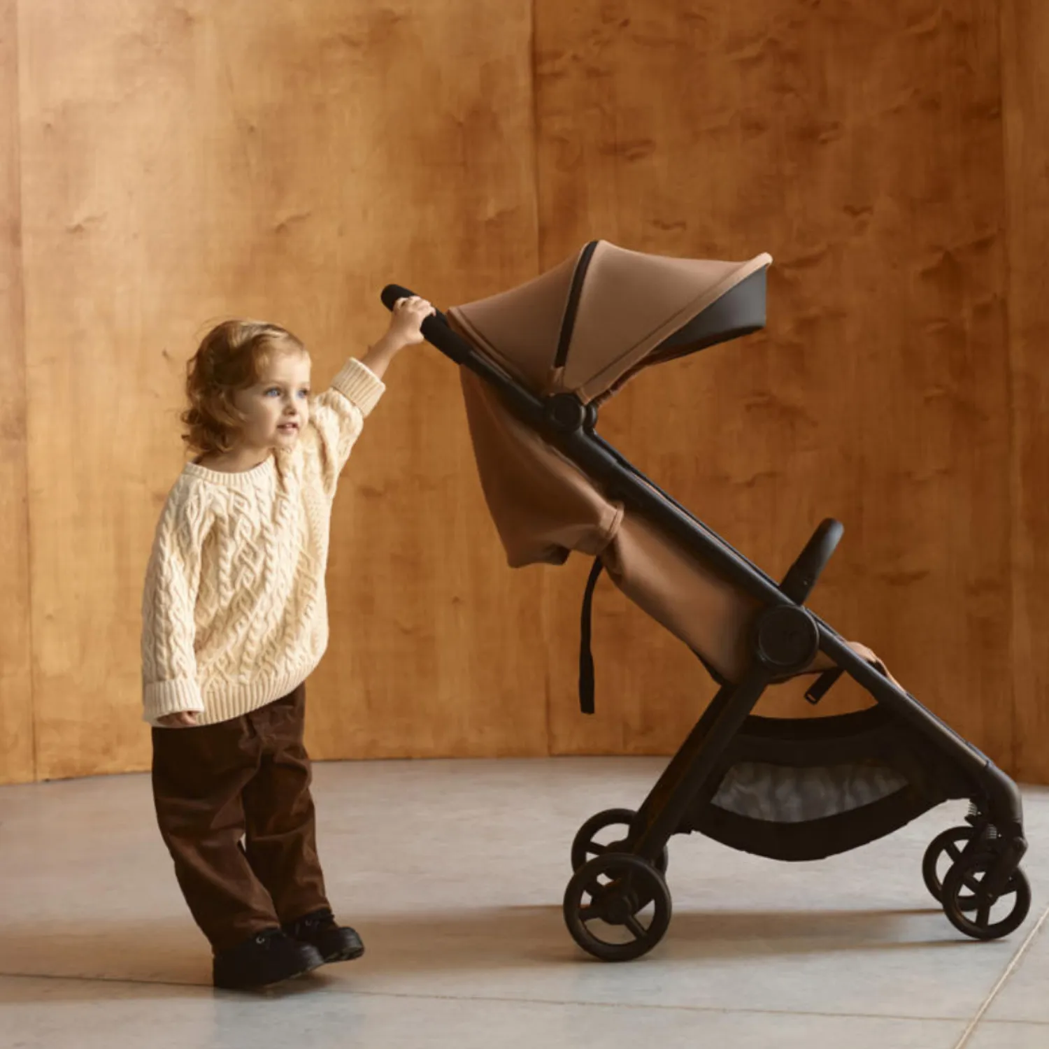 Коляска 2 в 1 Anex iQ Basic New