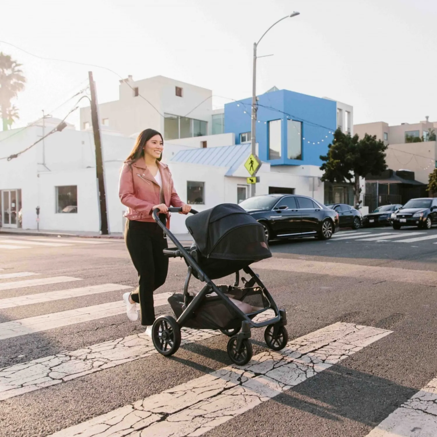 Коляска 2 в 1 UPPAbaby Vista V2