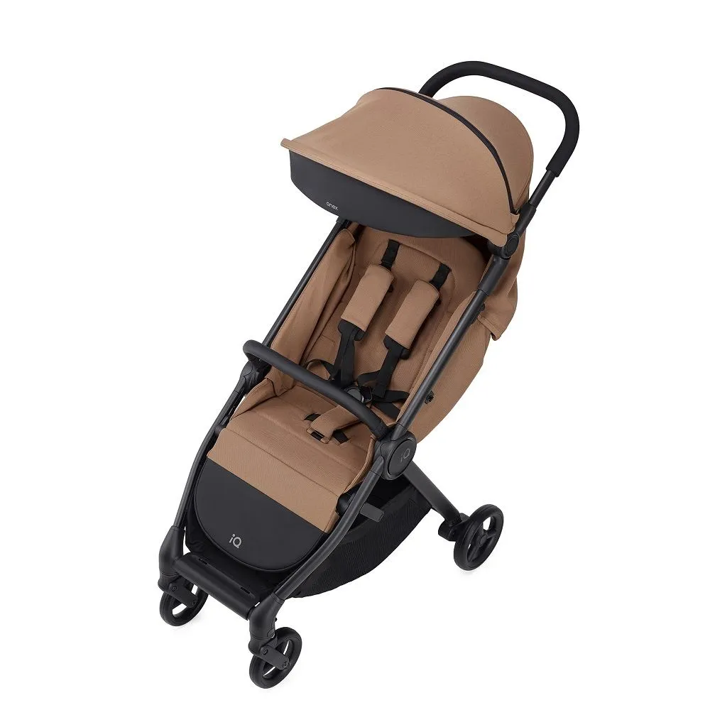 Коляска 2 в 1 Anex iQ Basic New