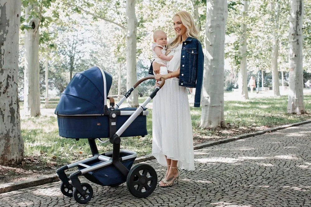 Коляска 2 в 1 Joolz Day 3 Earth