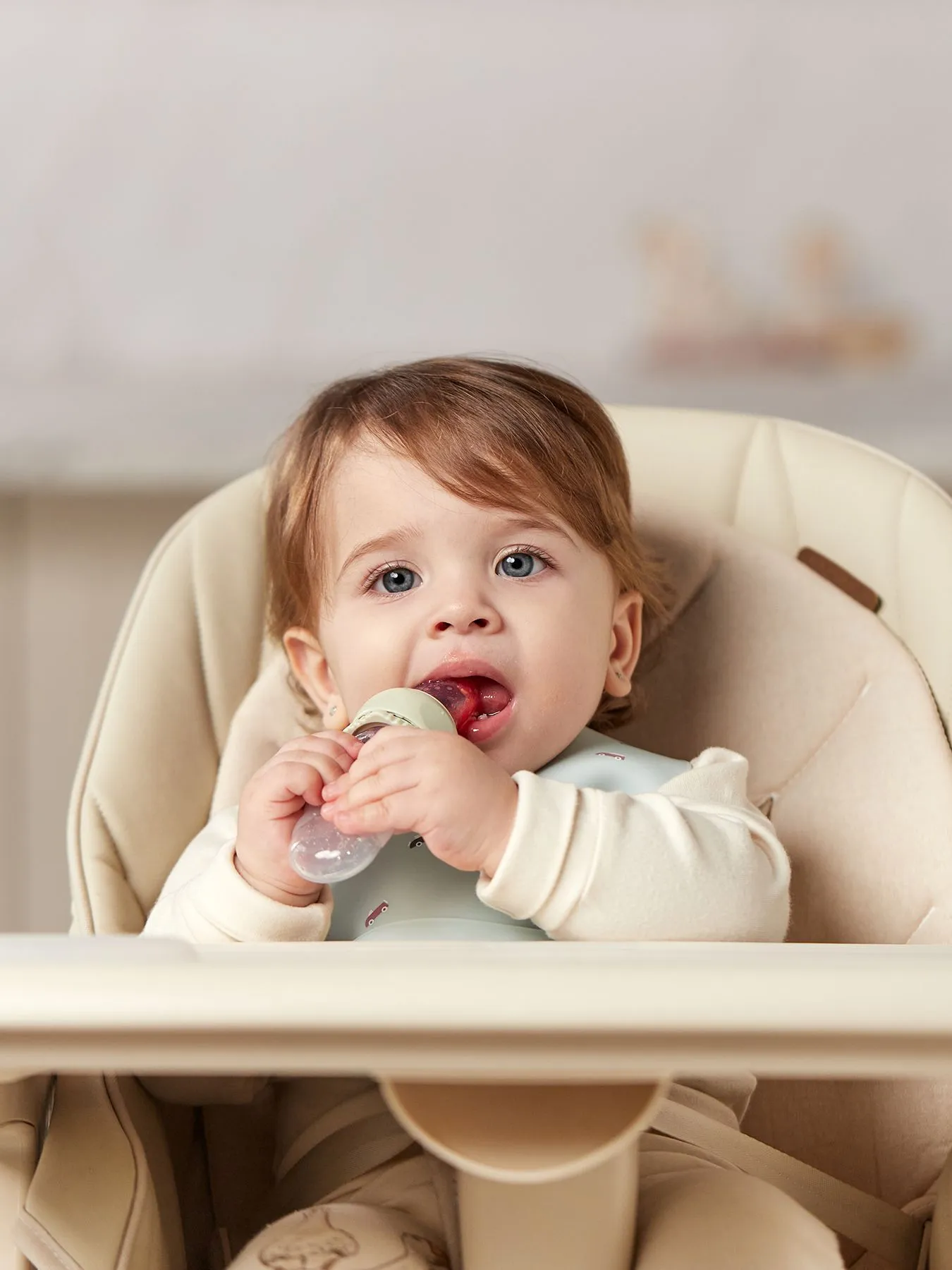 Ниблер-дозатор Happy Baby 15057