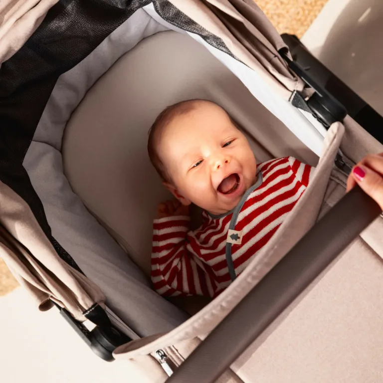 Люлька для коляски Joolz Aer 2