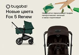 Картинка с размерами