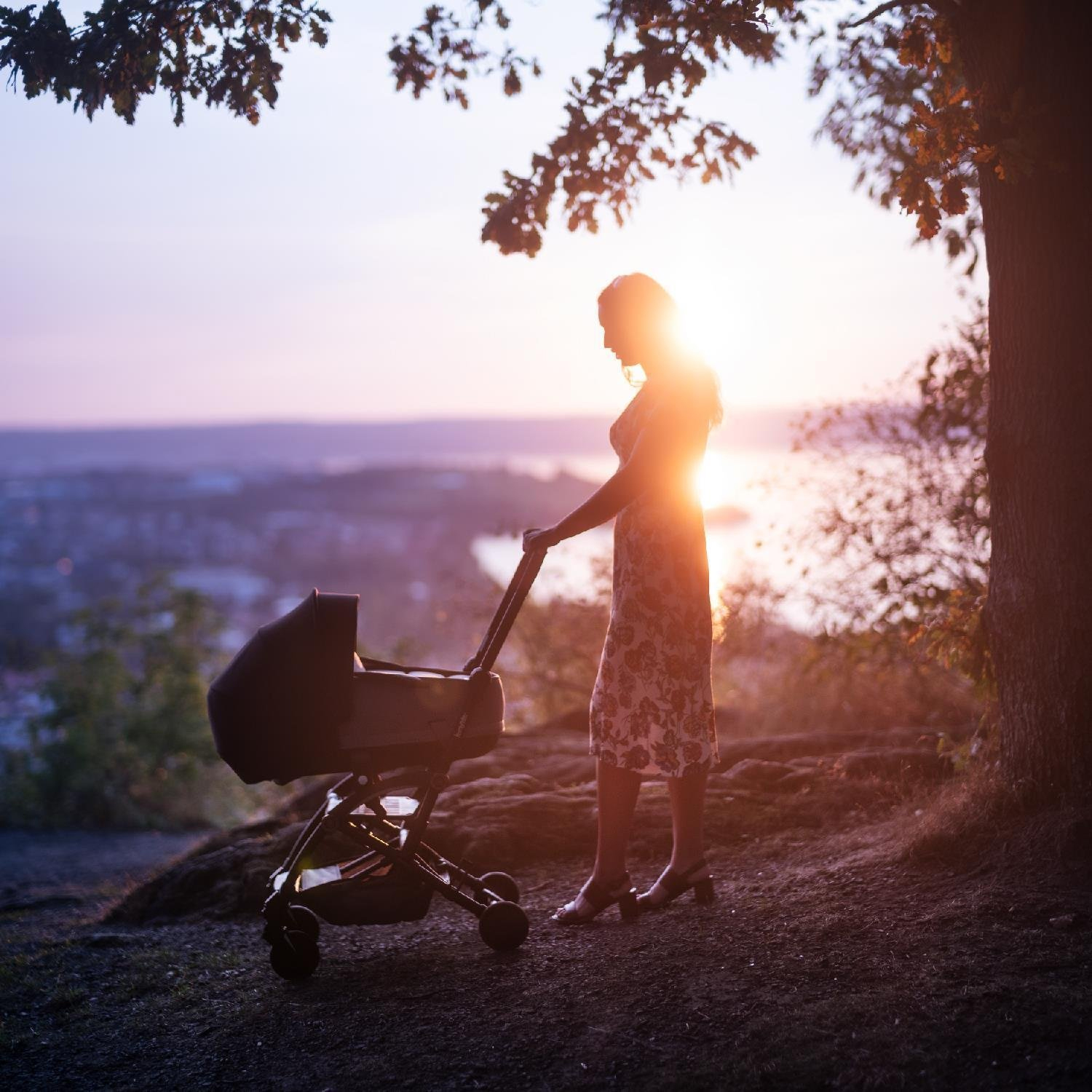 Люлька Bumprider Connect