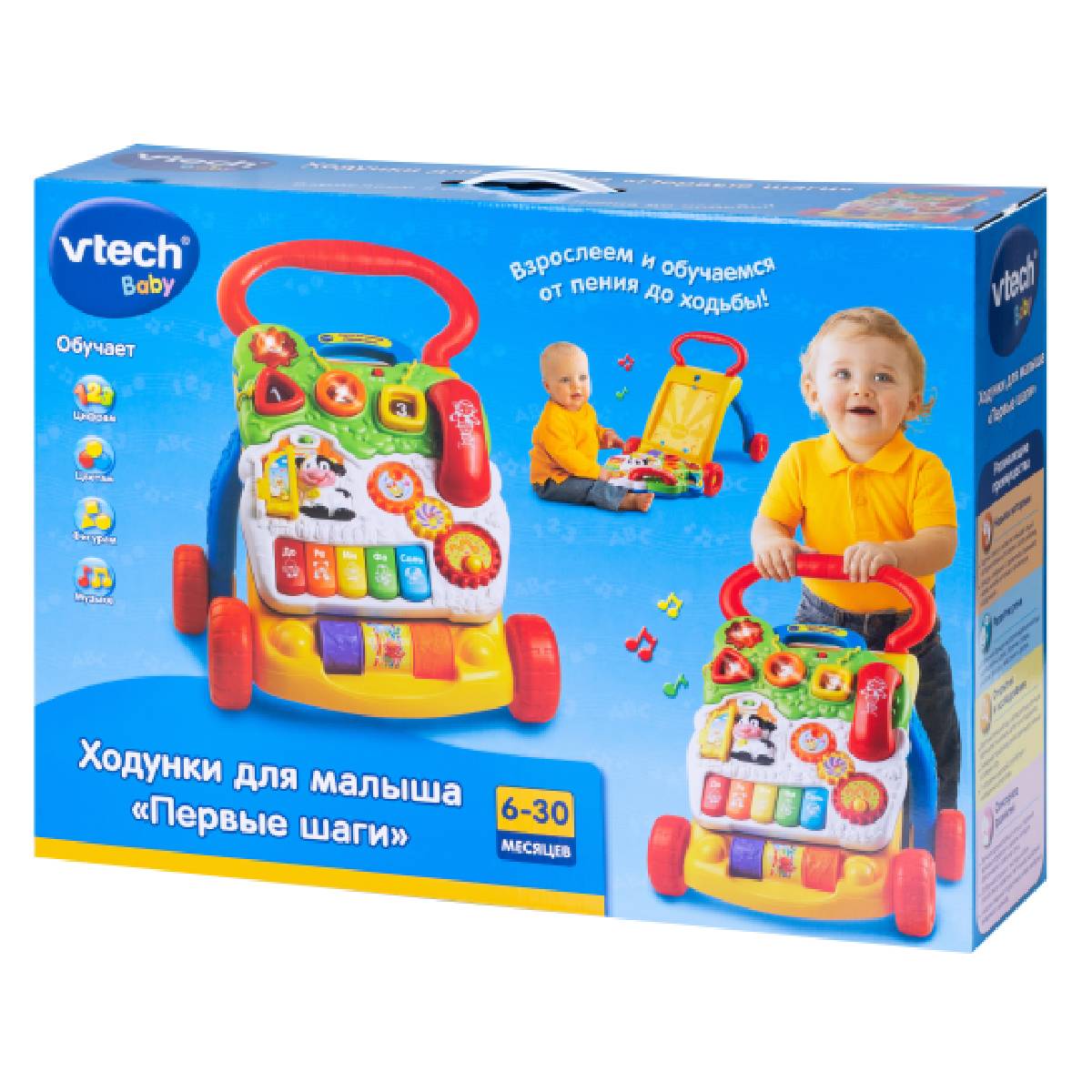 Ходунки-каталка VTech «Первые шаги» 6-36 мес 80-077026