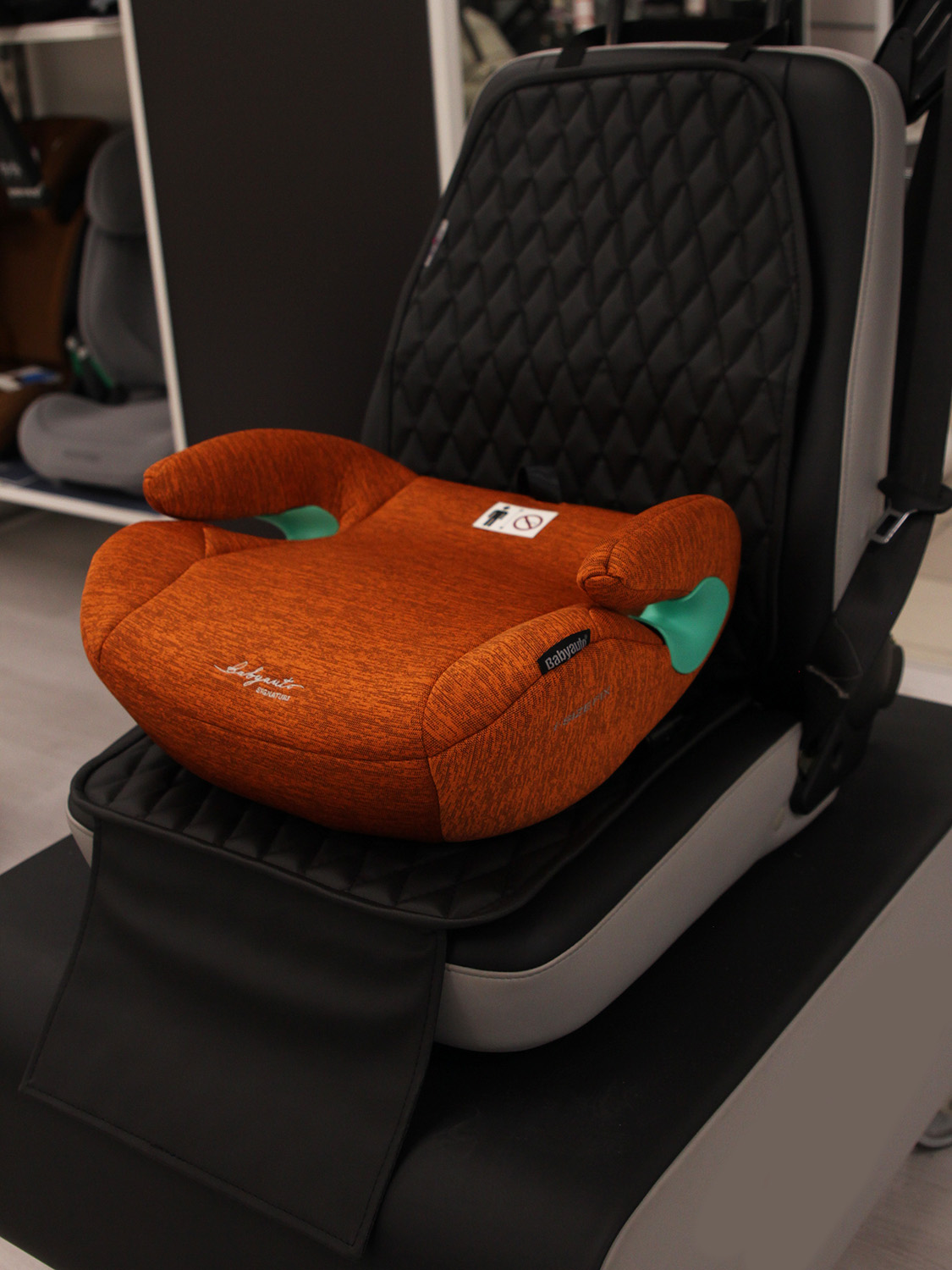 Защита сиденья под детское автокресло Fiorellino UnderSeat