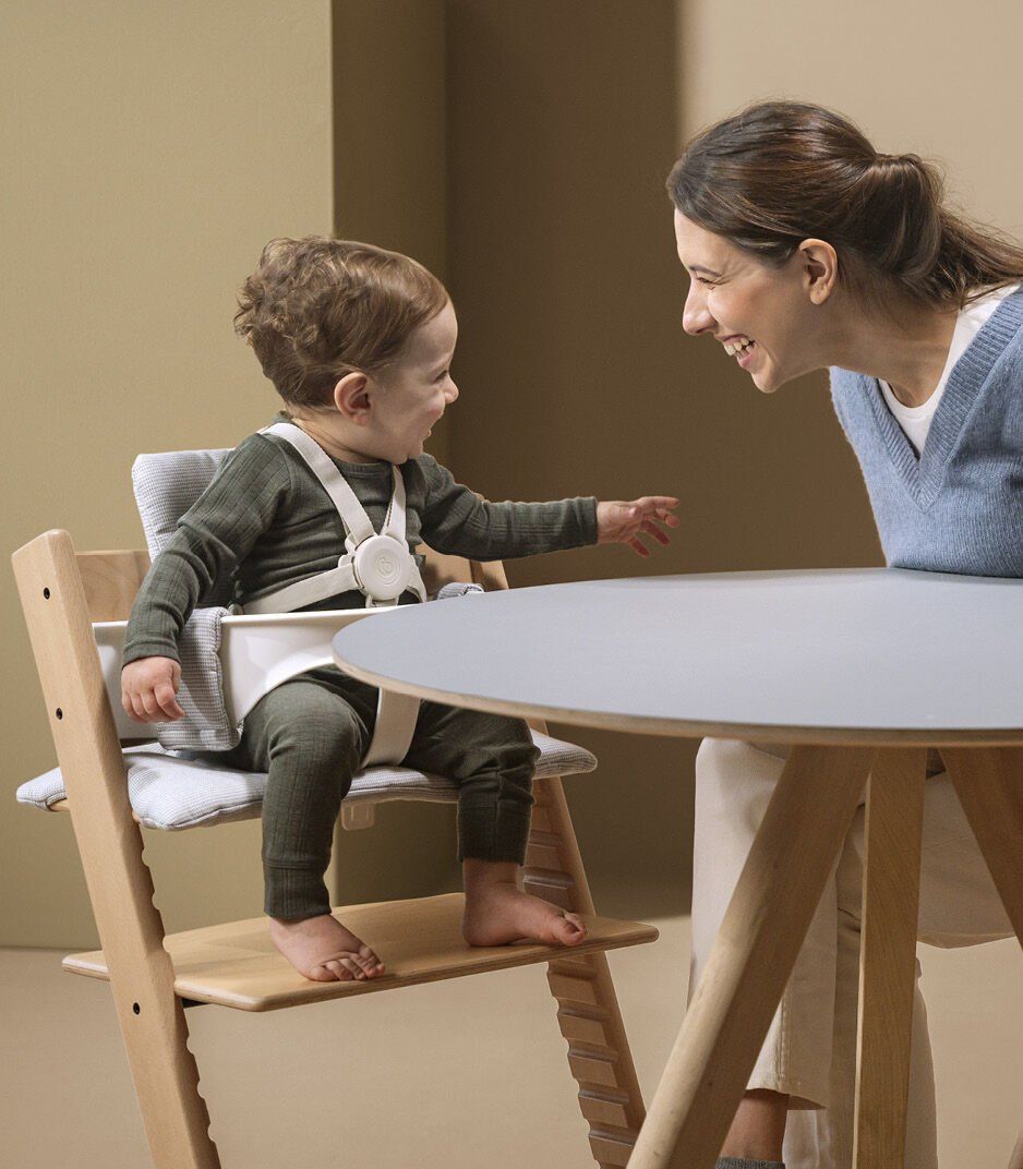 Ремни безопасности Harness 5-точечные для стульчика Stokke Tripp Trapp 2024