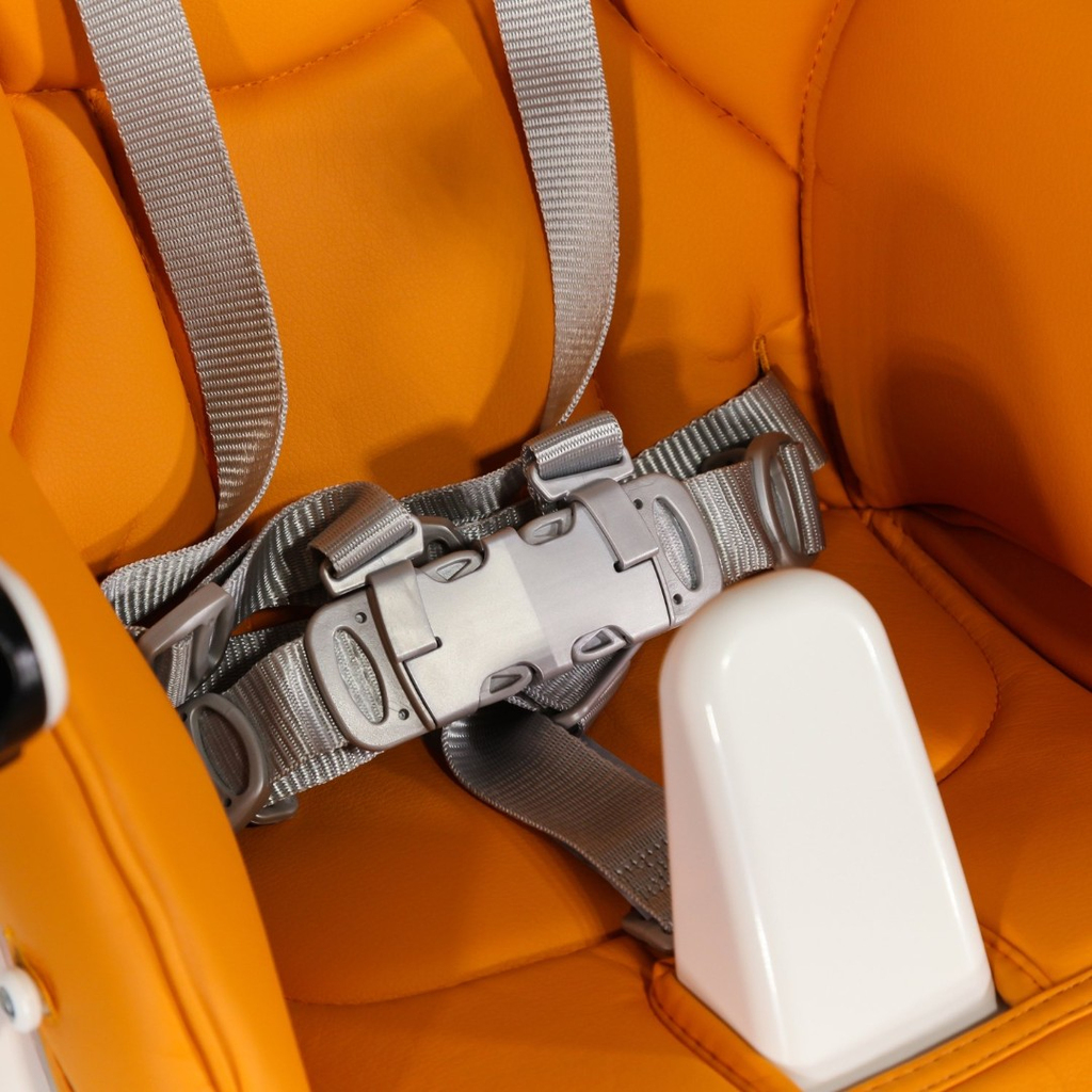 Стульчик для кормления Peg-Perego Prima Pappa Follow Me