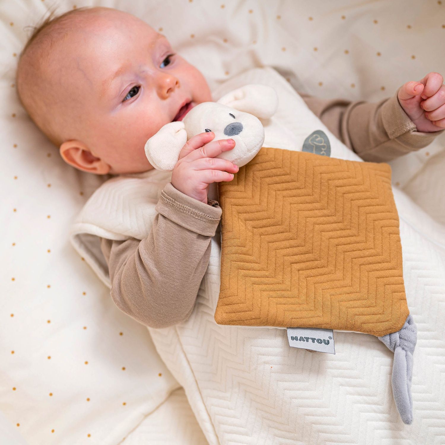 Игрушка мягкая Nattou Doudou малая CHARLIE Собачка caramel 388092