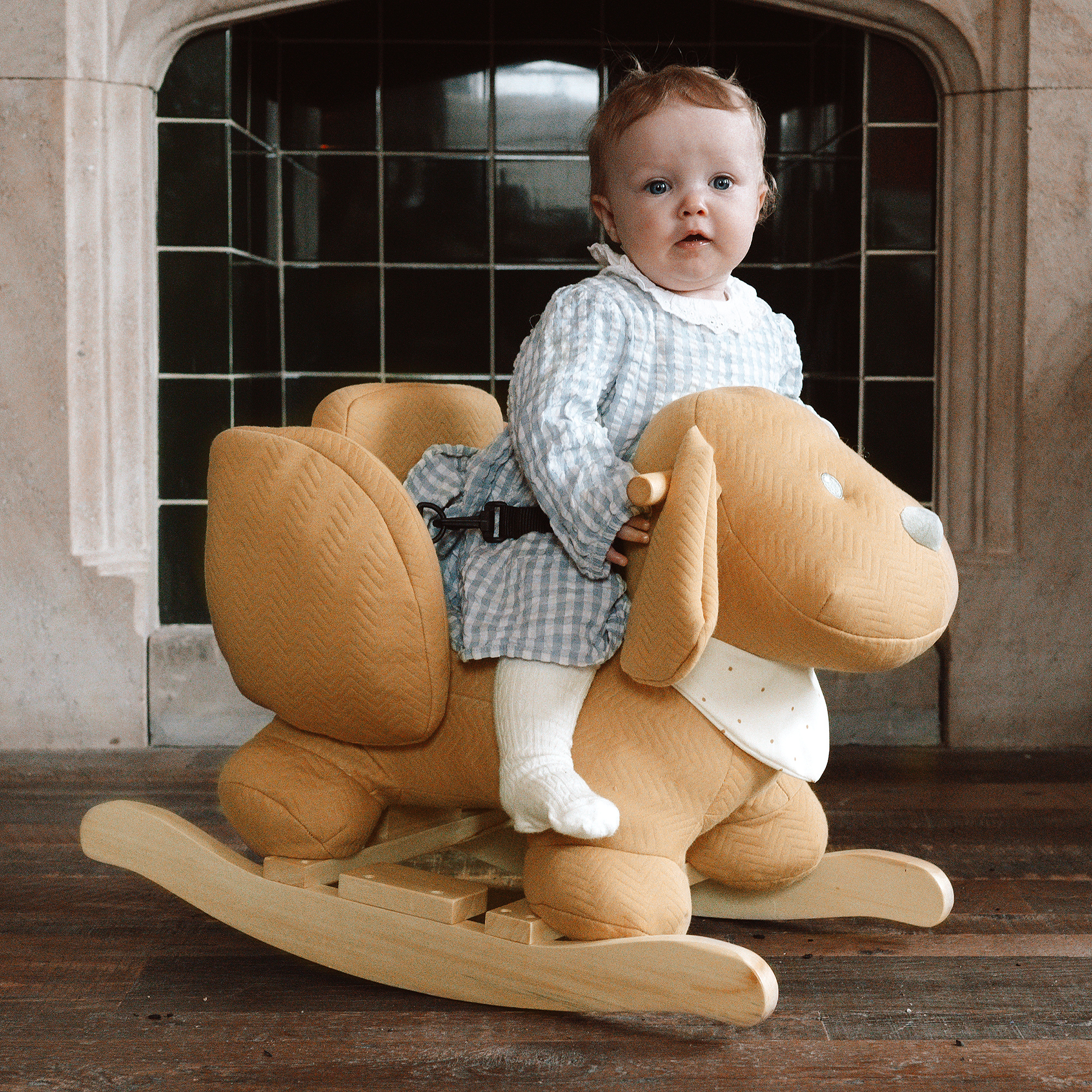 Игрушка мягкая Nattou Toy spiral Charlie Собачка 388207