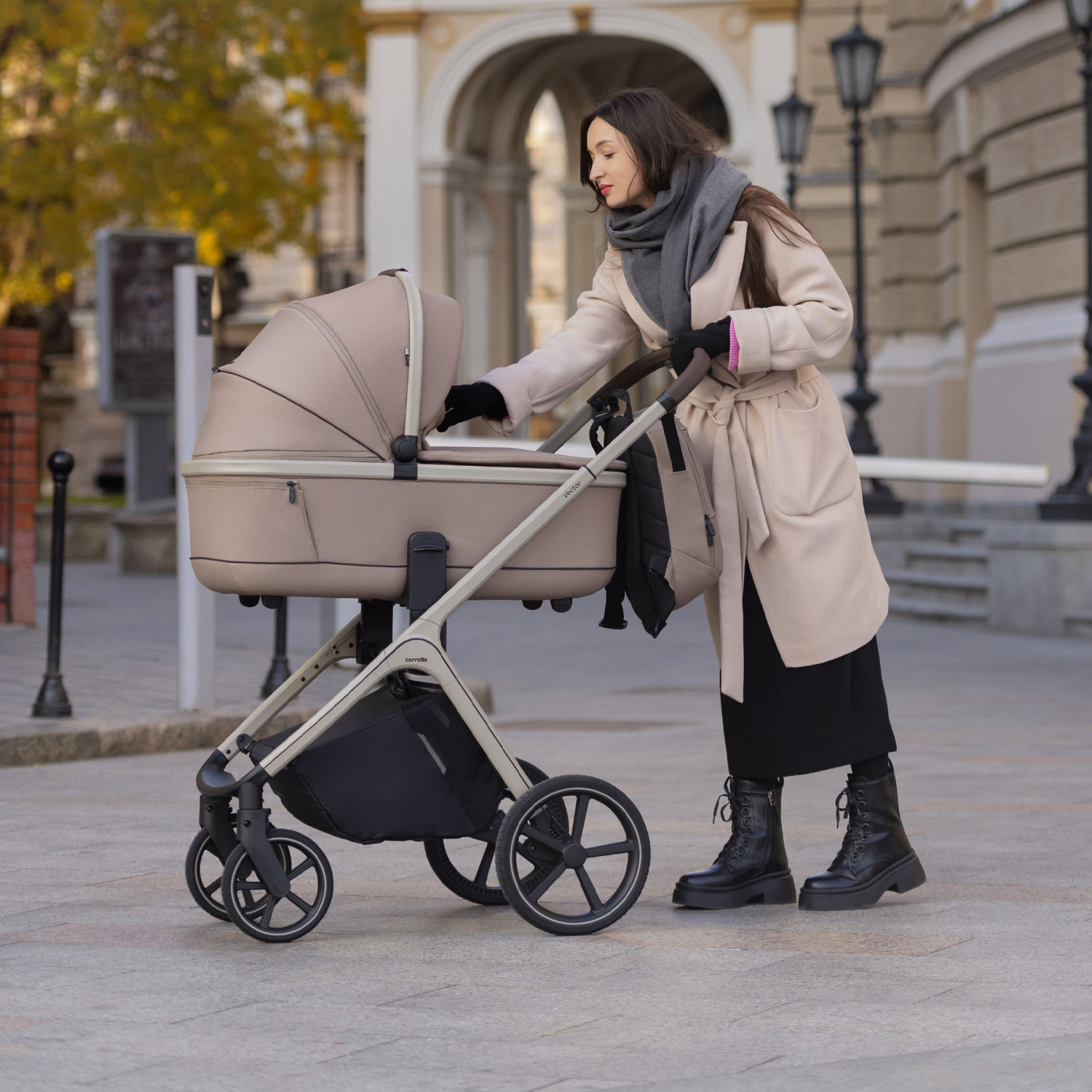 Коляска 2 в 1 CARRELLO Vector CRL-6550