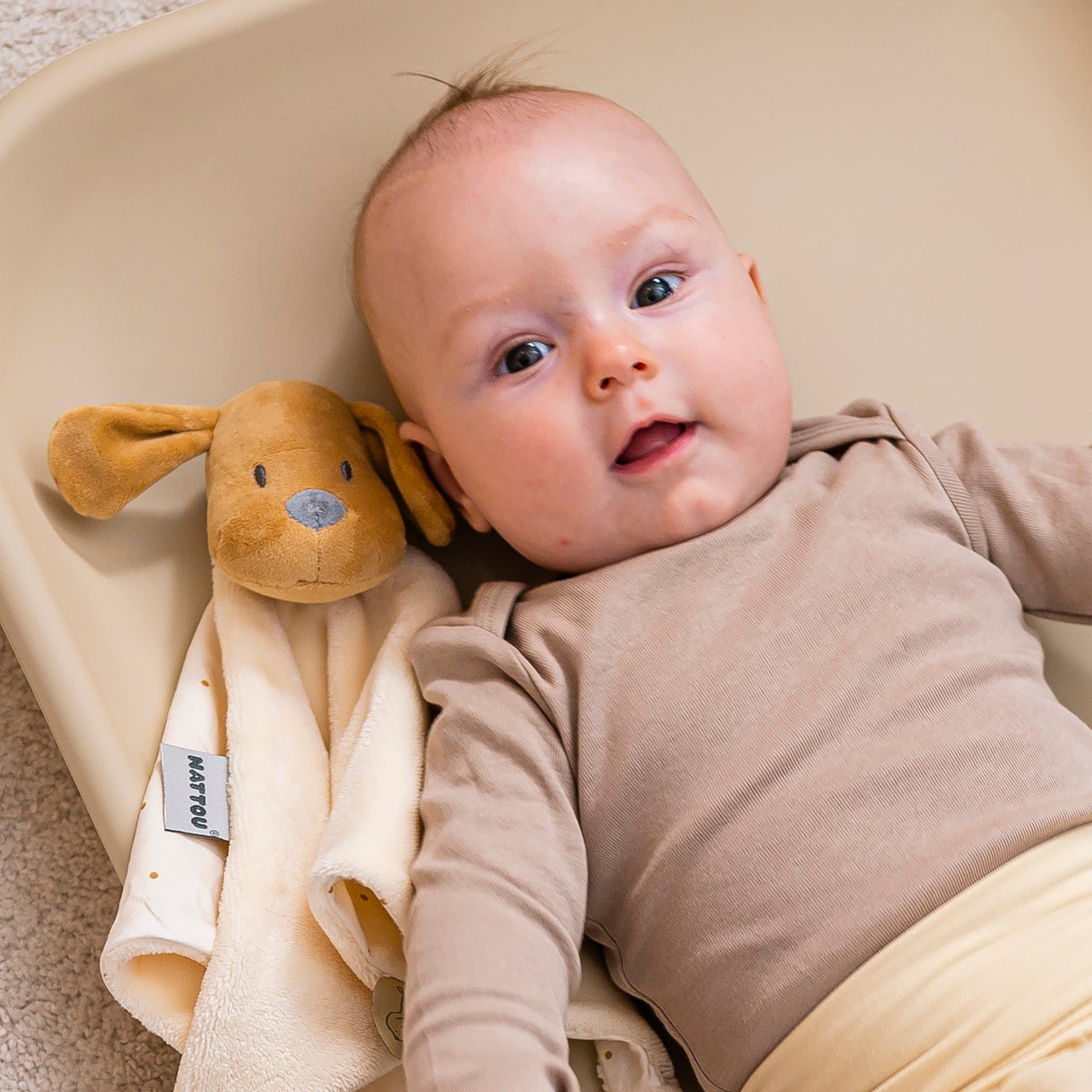 Игрушка мягкая Nattou Doudou большая CHARLIE Собачка vanilla 388160