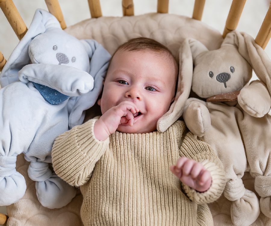 Игрушка мягкая Nattou Soft toy Lapidou Кролик