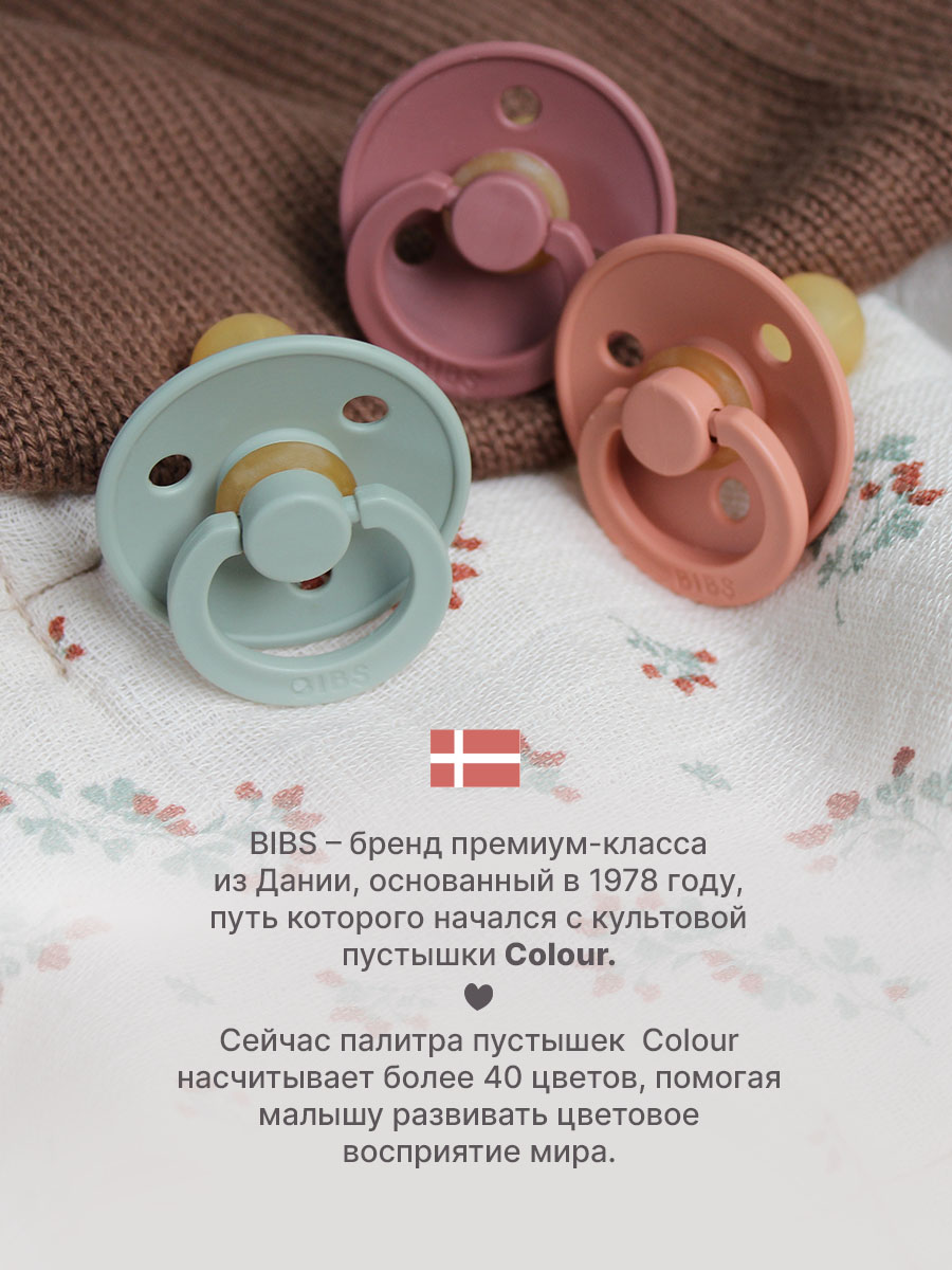 Пустышка латексная BIBS Colour 6+