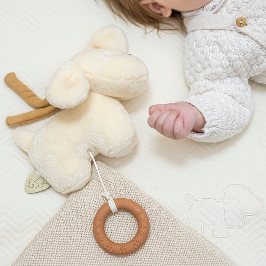 Игрушка мягкая Nattou Musical Soft toy Mini Charlie Собачка vanilla музыкальная 388054