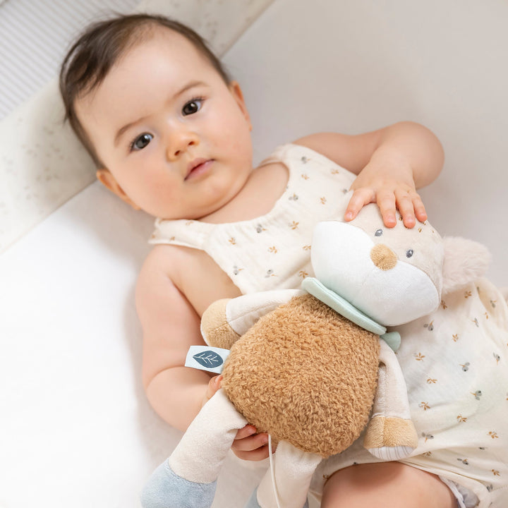 Игрушка мягкая Nattou Soft toy