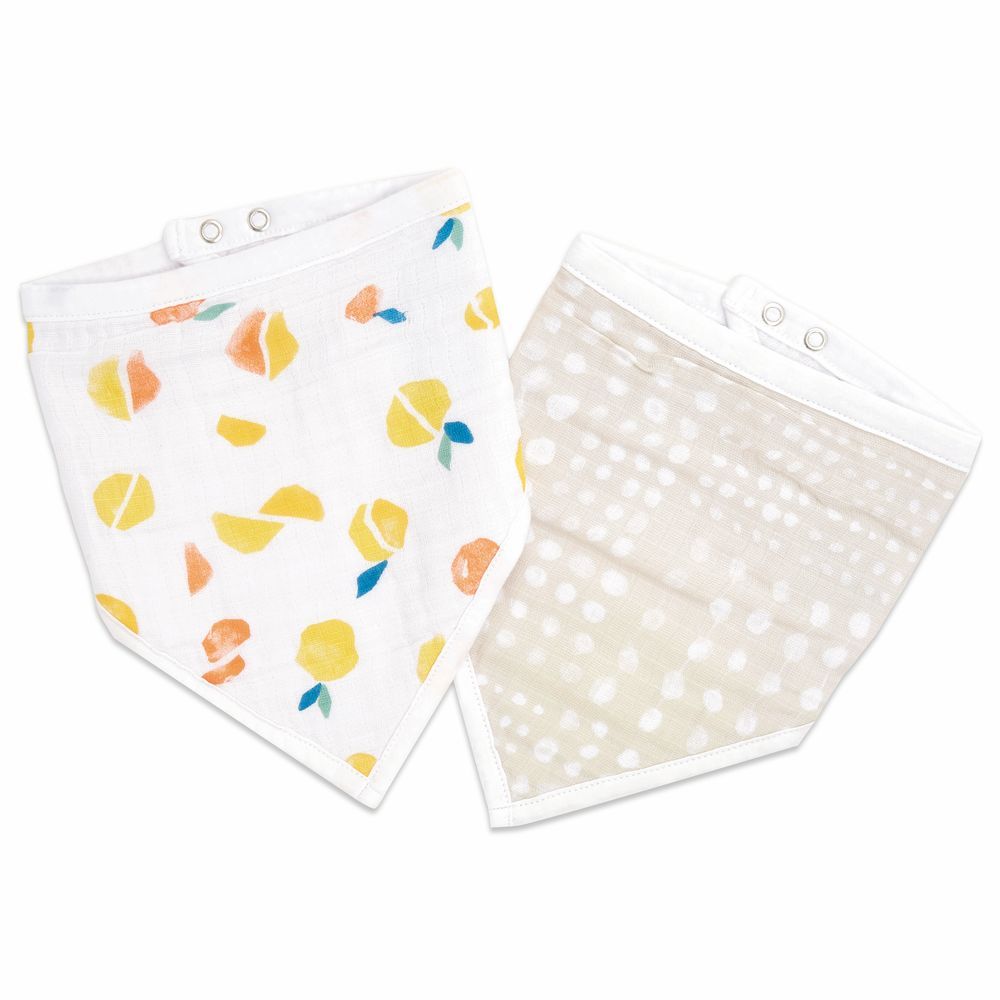 aden and anais dribble bibs