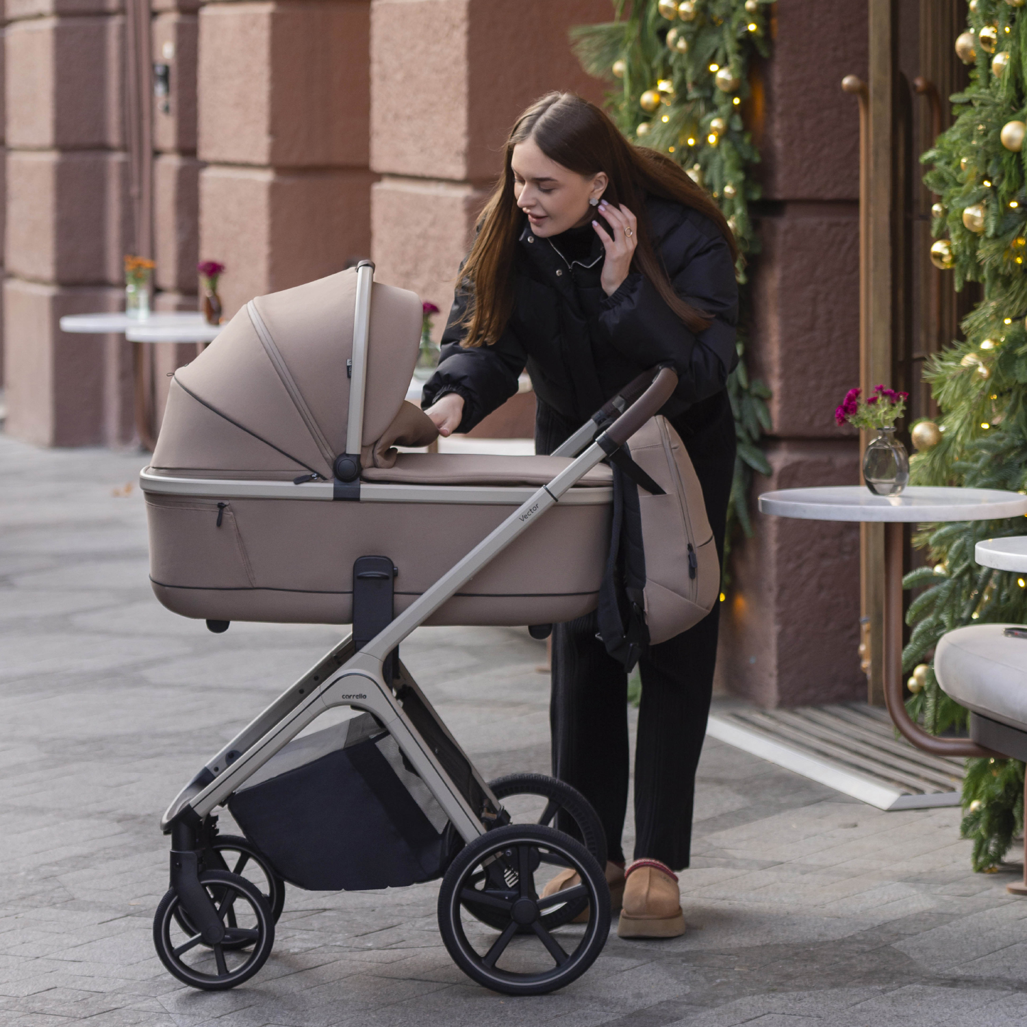 Коляска 2 в 1 CARRELLO Vector CRL-6550