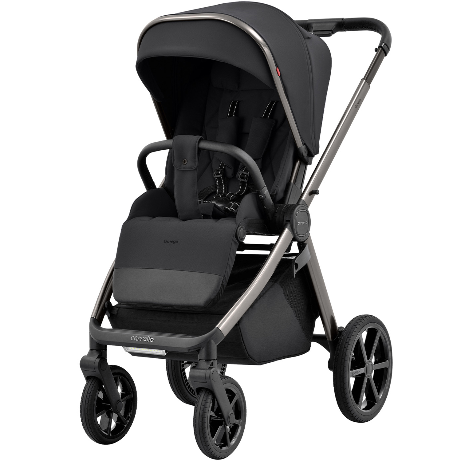 Коляска 2 в 1 Carrello Omega CRL-6530/1