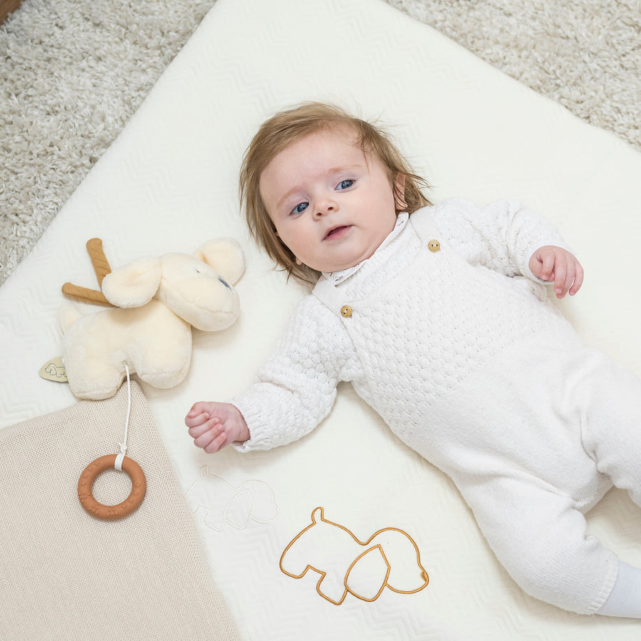 Игрушка мягкая Nattou Musical Soft toy Mini Charlie Собачка vanilla музыкальная 388054