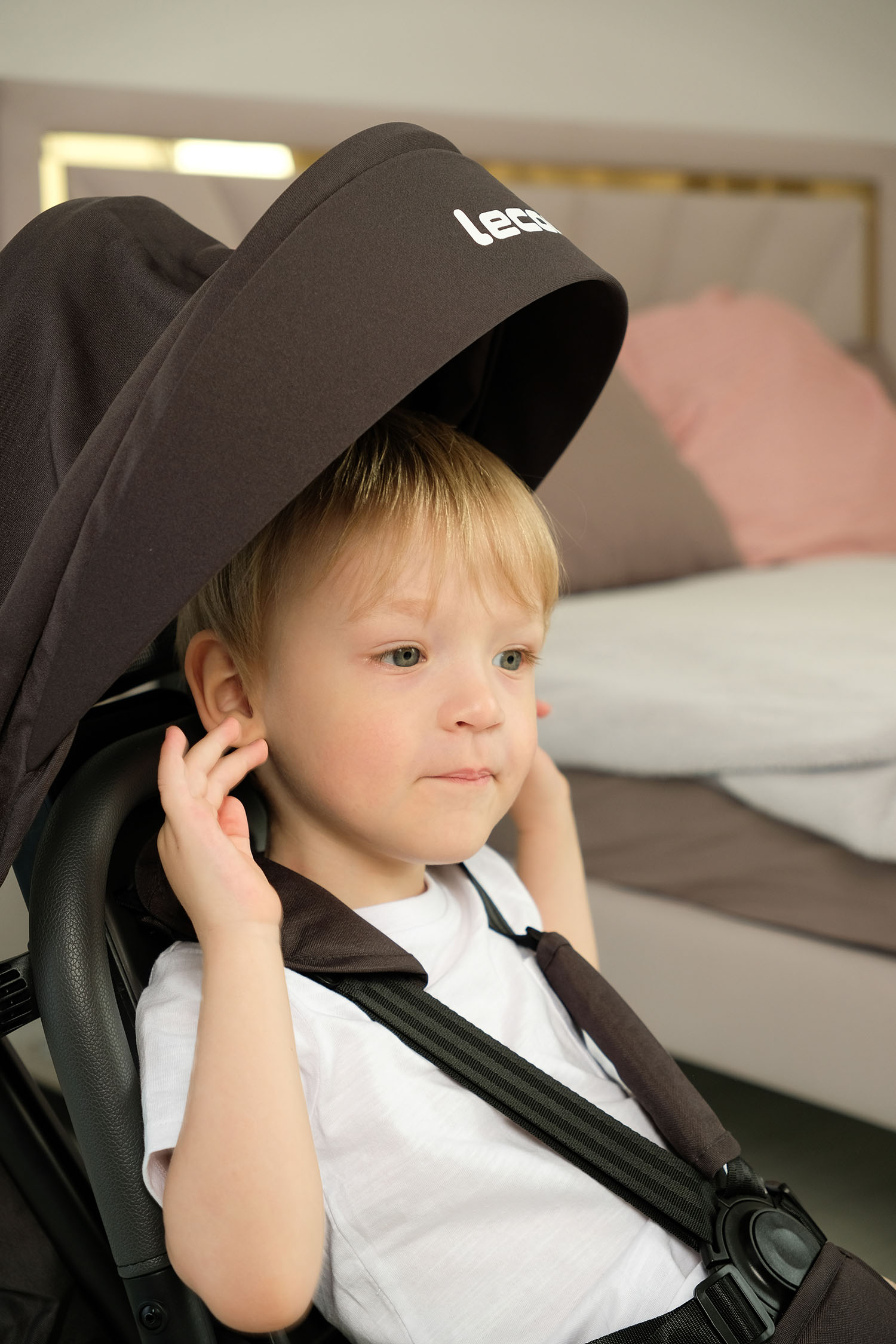 Велосипед 3-х колесный Lecoco S grey