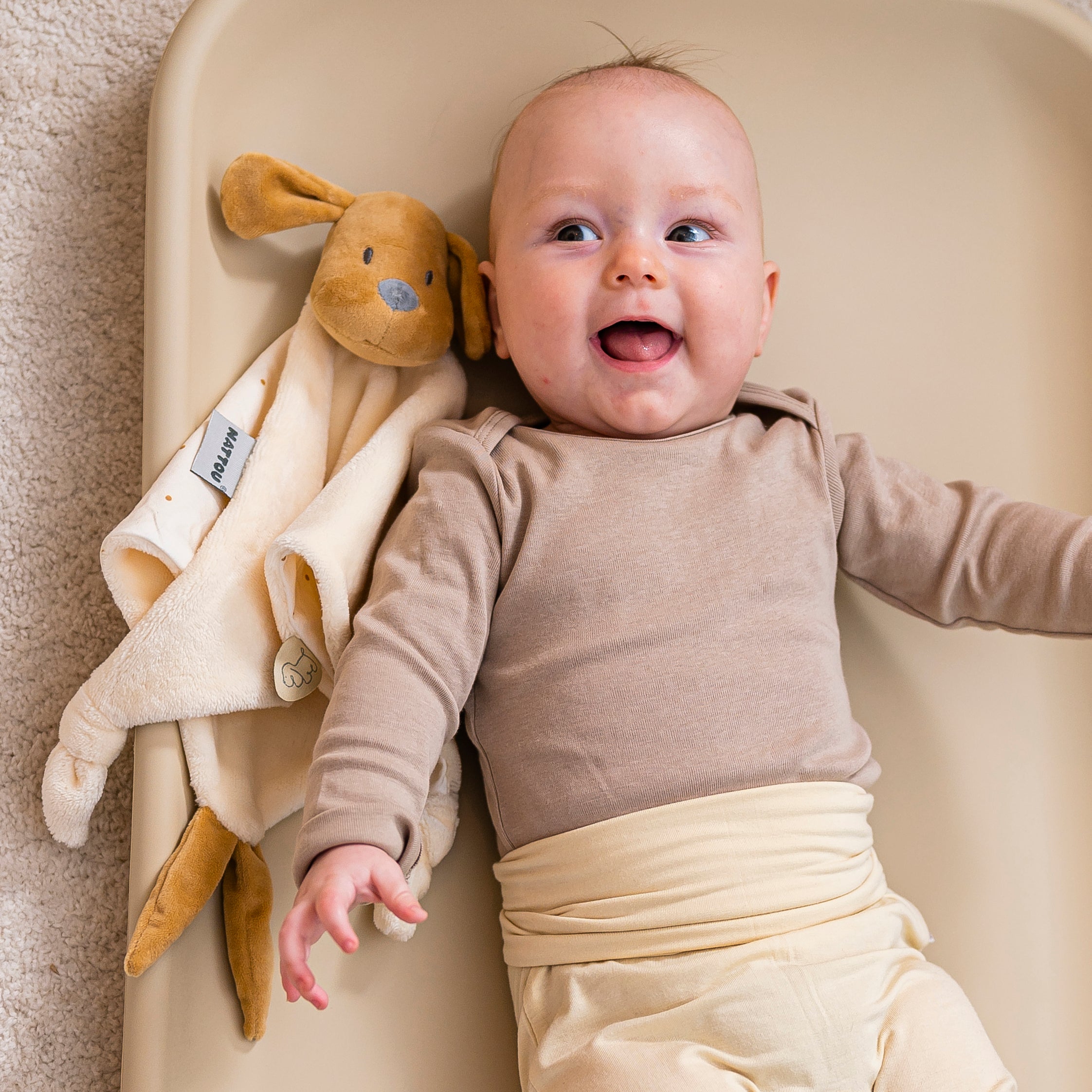 Игрушка мягкая Nattou Toy spiral Charlie Собачка 388207