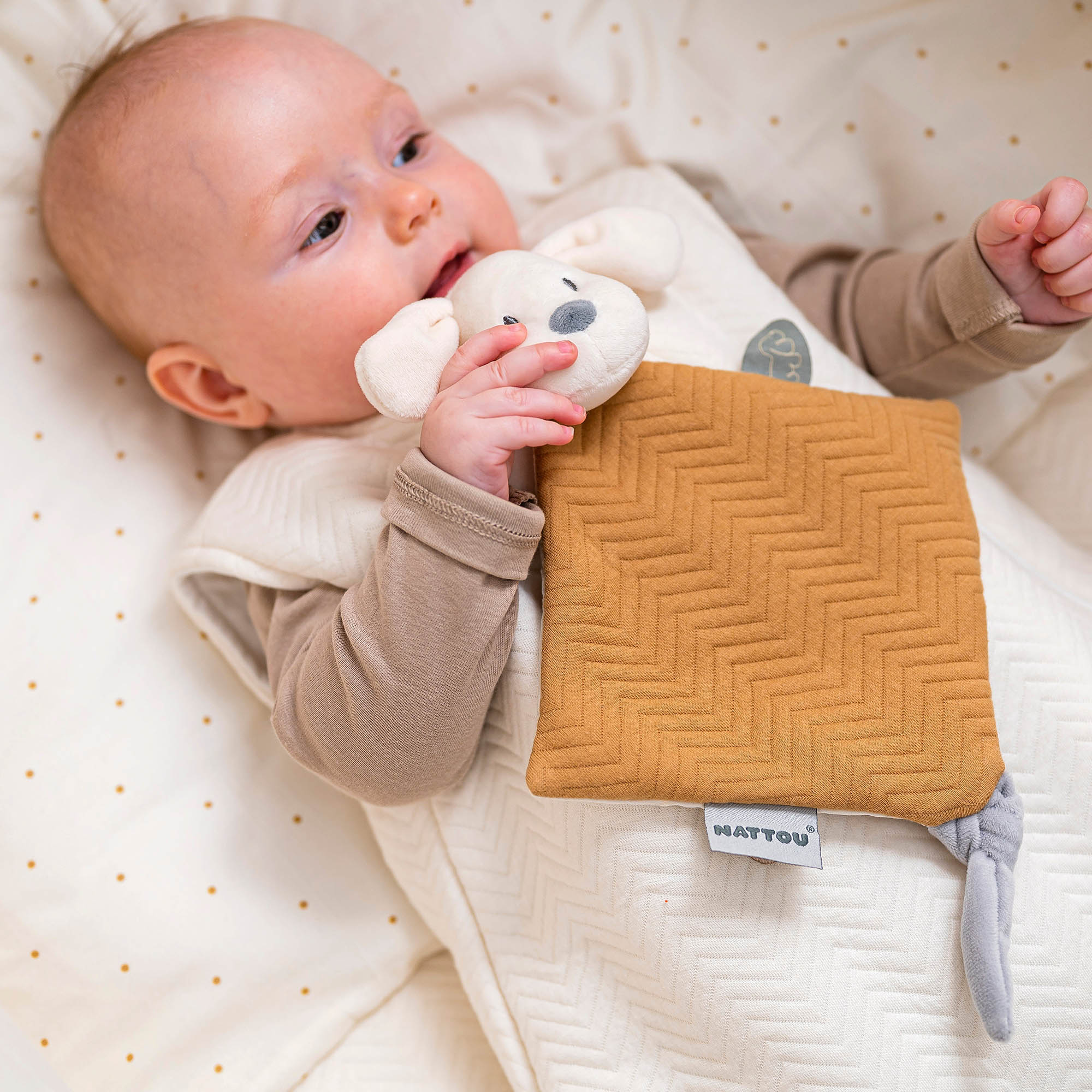 Игрушка мягкая Nattou Toy spiral Charlie Собачка 388207